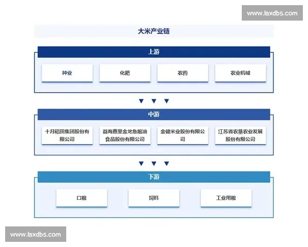 唐山vs石家庄城市实力发展潜力与区域竞争全景对比解析观察研究 唐山vs石家庄城市实力发展潜力与区域竞争全景对比解析观察研究